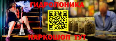 амф Аша