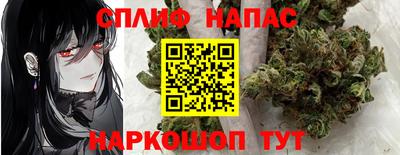 амф Аша